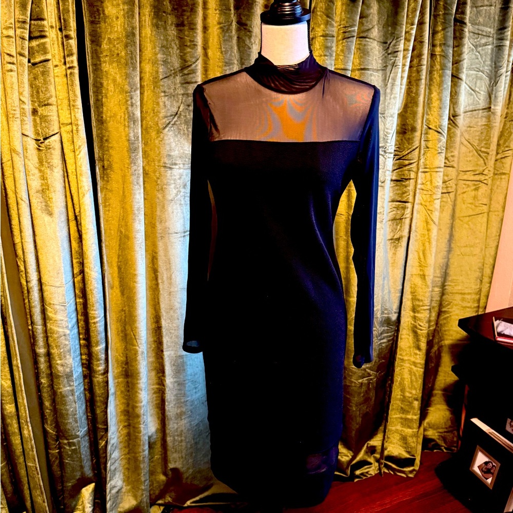 Elegant Black Sheer Panel Dress